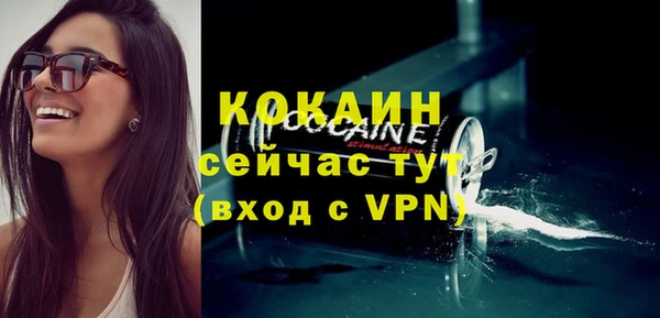 дмт Костерёво