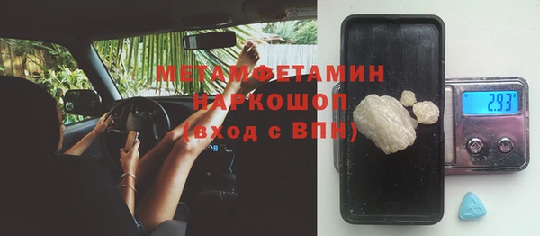 индика Киреевск