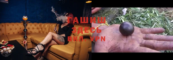 индика Киреевск