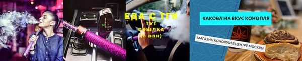 индика Киреевск