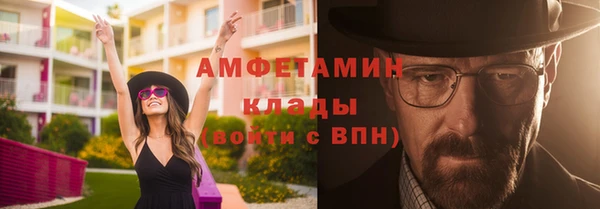 индика Киреевск
