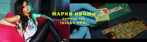 индика Киреевск