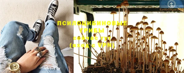 индика Киреевск