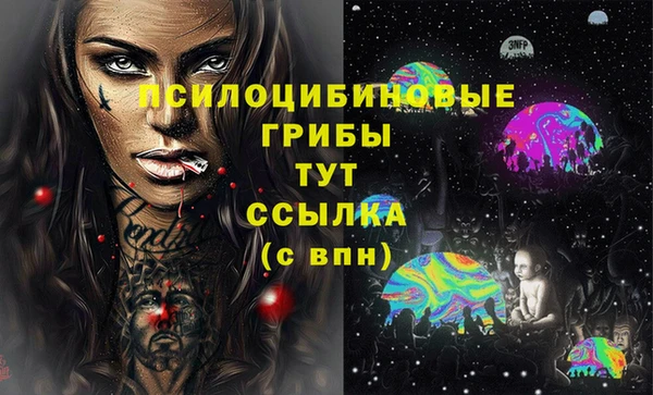 мдпв Карпинск