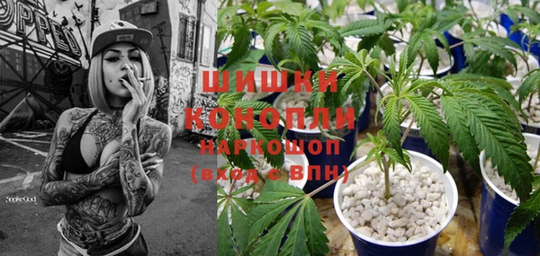 индика Киреевск
