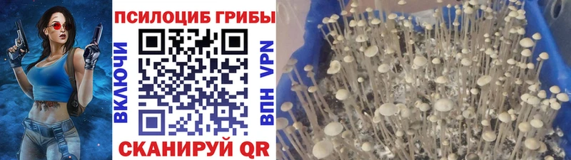 Псилоцибиновые грибы ЛСД  Мглин 